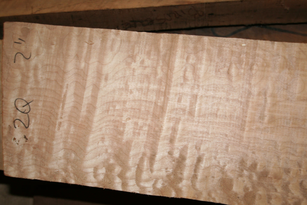 Buttstock blank grade 2: maple
