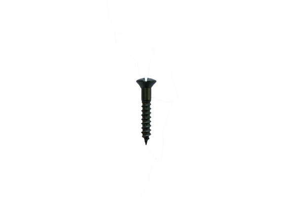 Small buttplate screw