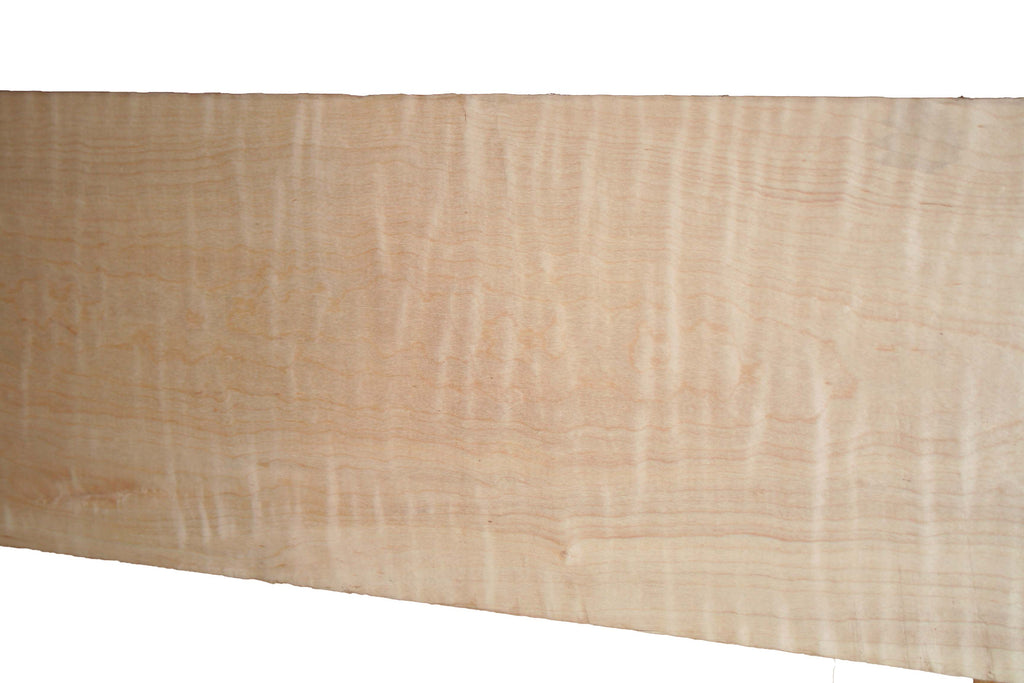 Maple buttstock blank #T17705 (oversize)